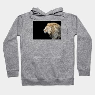 Lion f 5/4/22 / Swiss Artwork Photography Hoodie